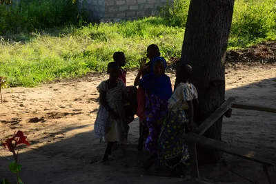 DSC_8169 (Large).JPG